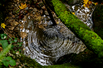 wolfsschlucht
